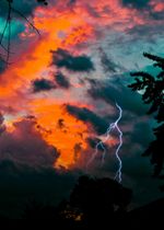 Lightning and trees
