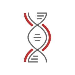 Teste de DNA na Dr Exame Sumaré – SP