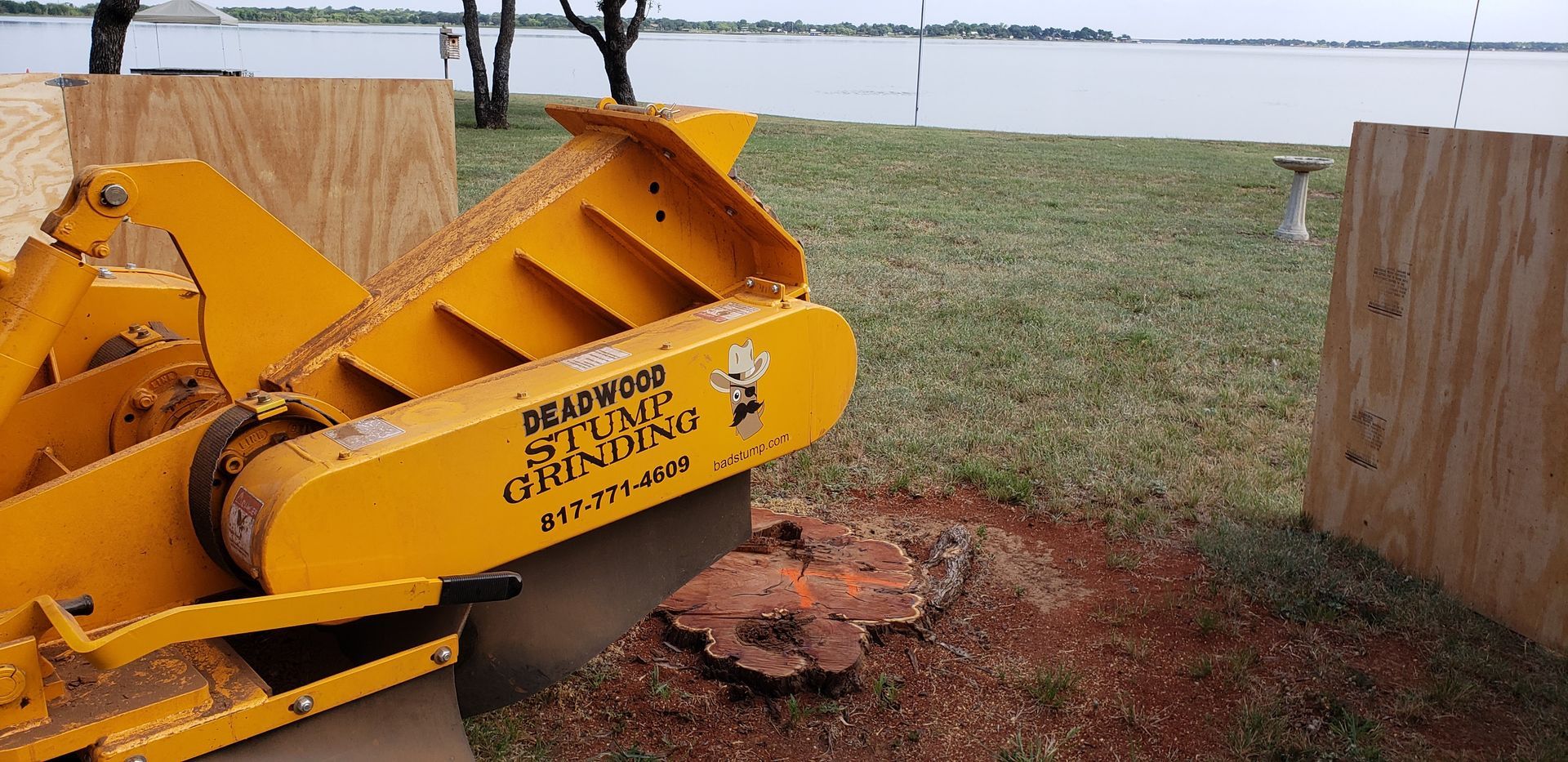 A yellow stump grinder working on a tree stump near a body of water.