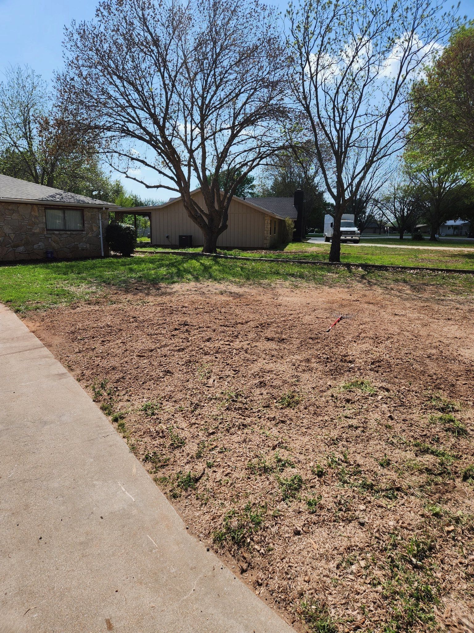 Brown yard with sparse vegetation, sidewalk in foreground, and houses/trees in background.