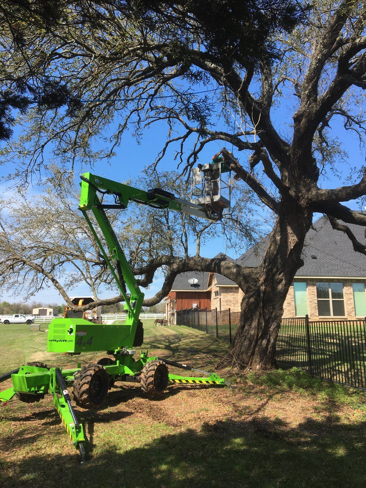 Green lift truck pruning a large tree in a grassy yard, house in background.