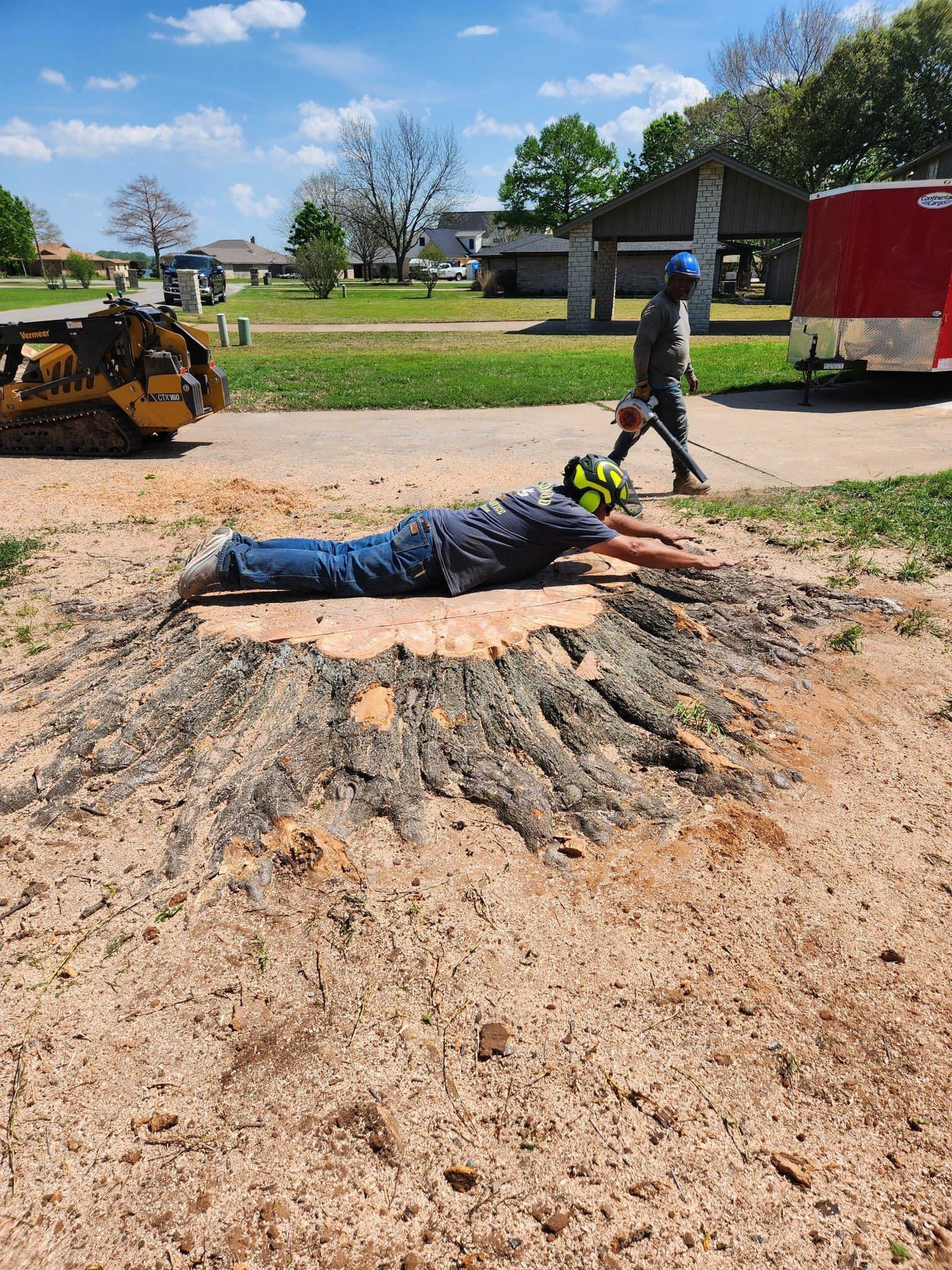 Man sprawled on a tree stump, possibly measuring. Others work in a park setting, machinery present.