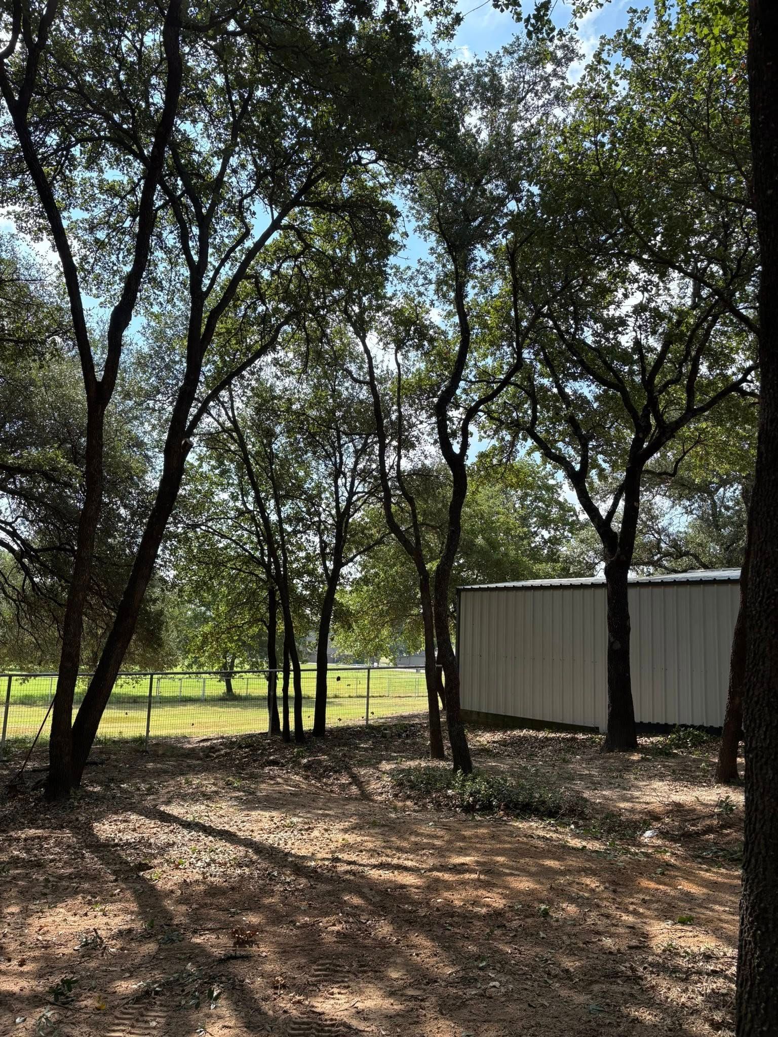 Trees and shadows in a wooded area with a white metal storage building and a distant fence.
