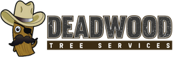 Logo for Deadwood Tree Services: Cowboy log character with mustache and eye patch next to text.
