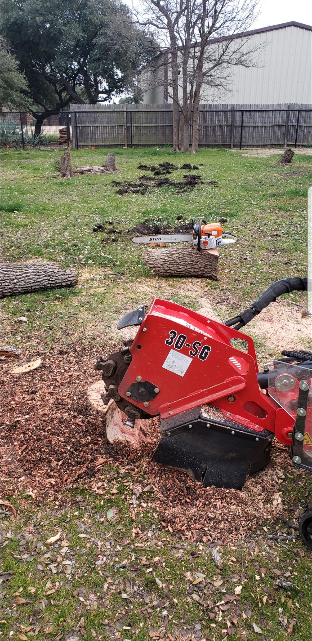 A red stump grinder grinds a tree stump in a yard, producing wood chips.
