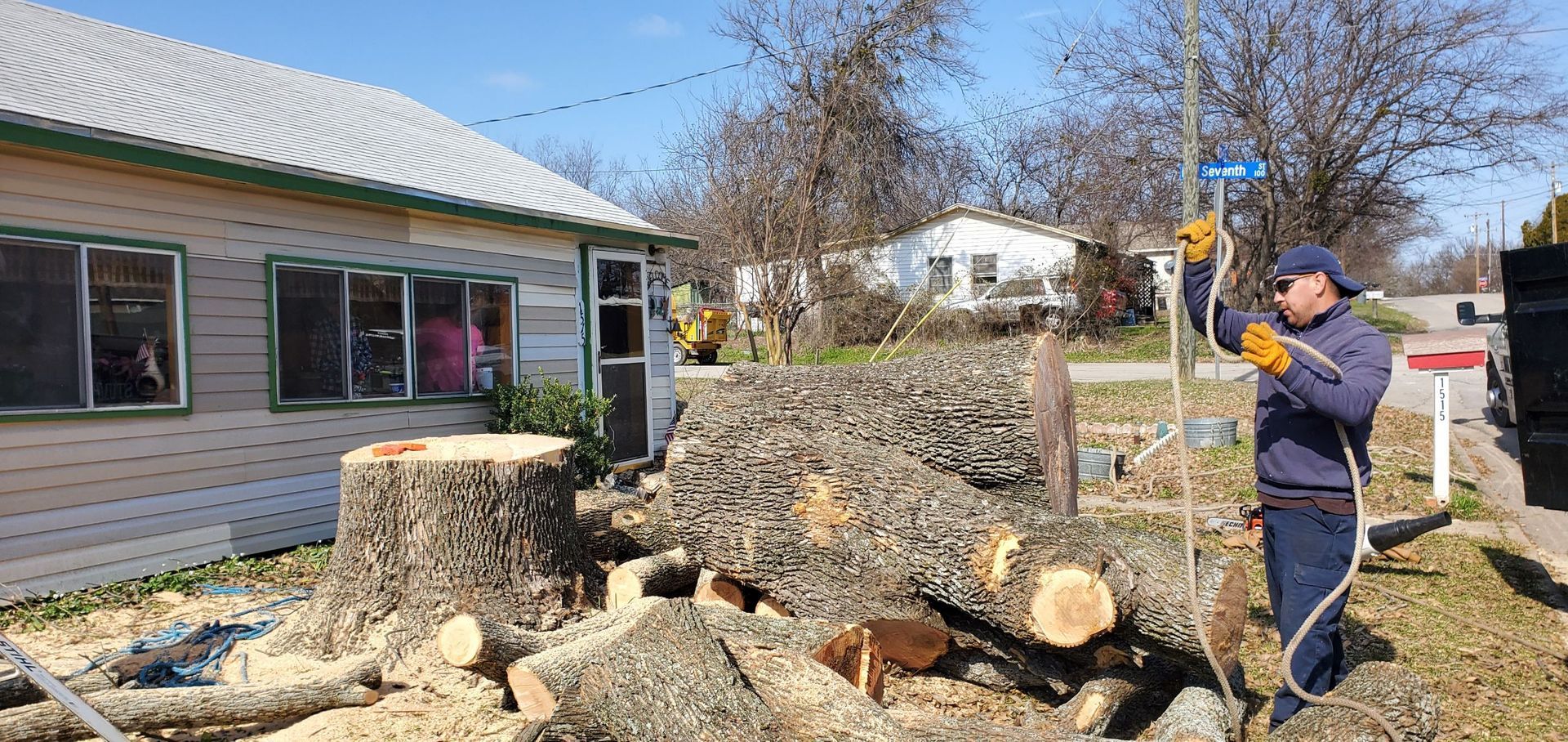 Man with gloves pulling rope near logs and a cut tree stump. A building and houses in the background.