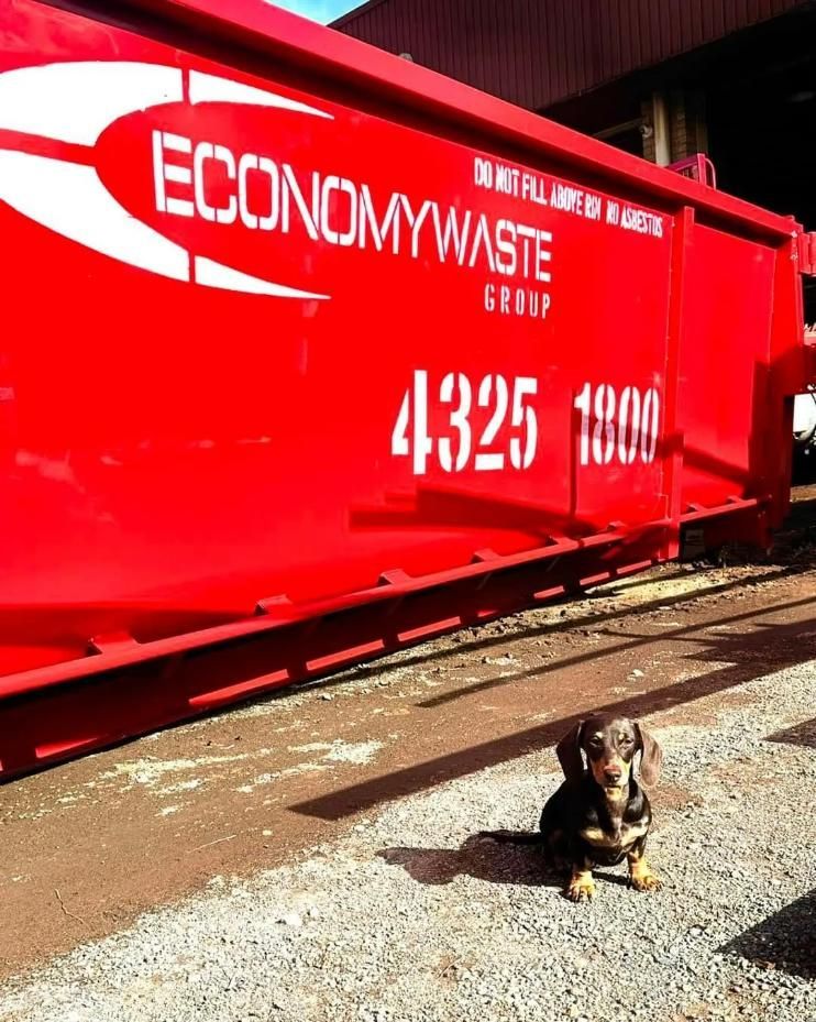 A Dog Sits In Front Of A Red Container That Says Economy Waste — Economy Waste Group | Skip Bins Central Coast In Ourimbah, NSW