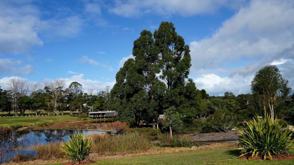 An Aerial View Of People Swimming In The Ocean — Economy Waste Group | Skip Bins Central Coast In Kariong, NSW