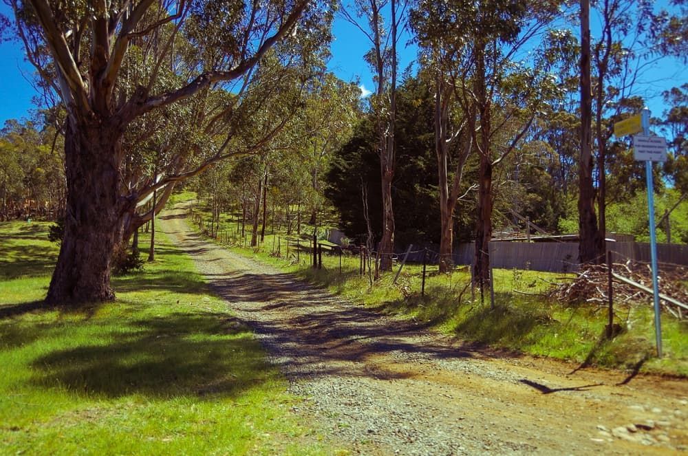 A Dirt Road Going Through A Grassy Field With Trees On Both Sides — Economy Waste Group | Skip Bins Central Coast In Glenning Valley, NSW