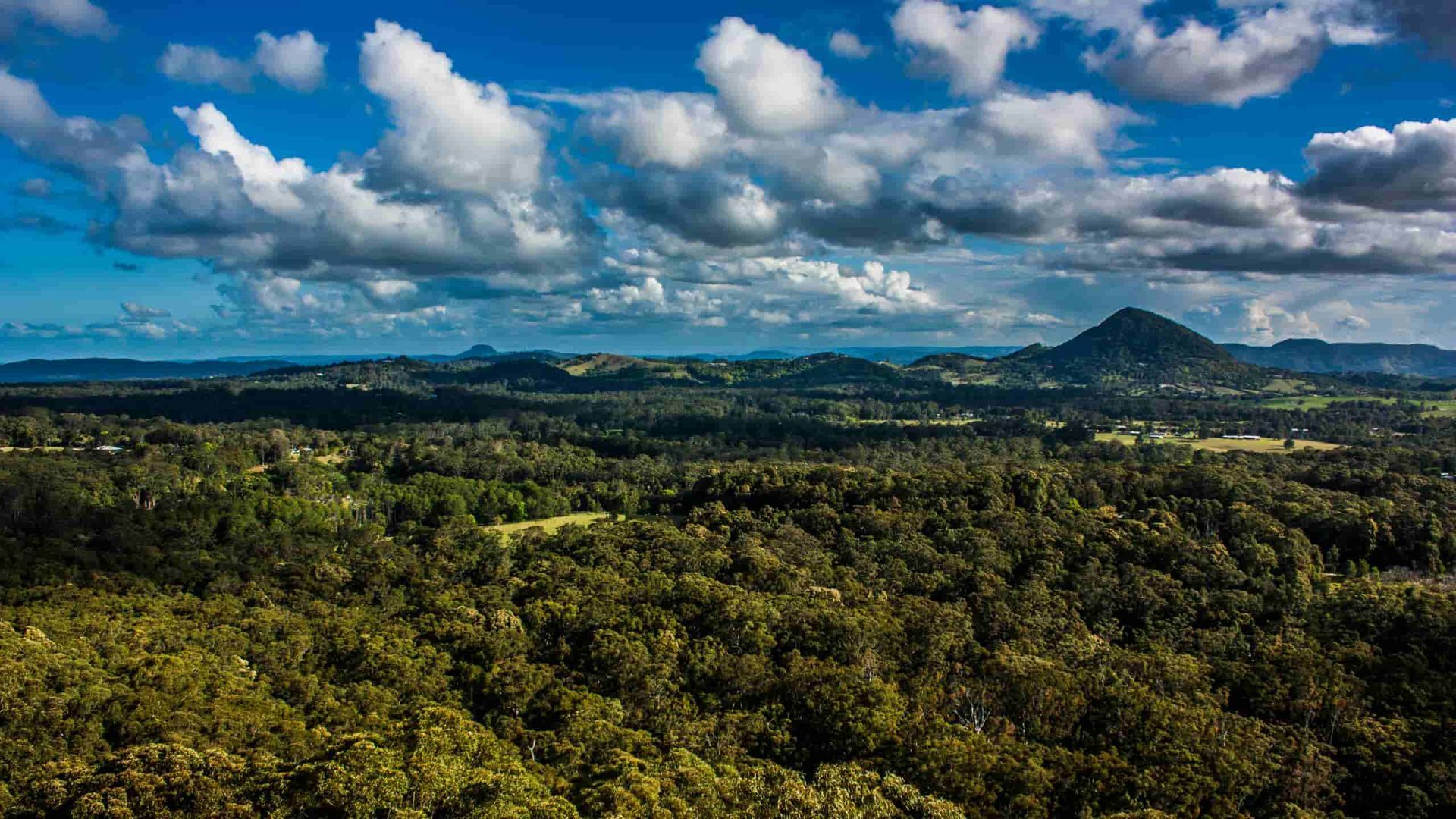 An Aerial View Of A Lush Green Forest With Mountains In The Background And Clouds In The Sky — Economy Waste Group | Skip Bins Central Coast In Warnervale, NSW
