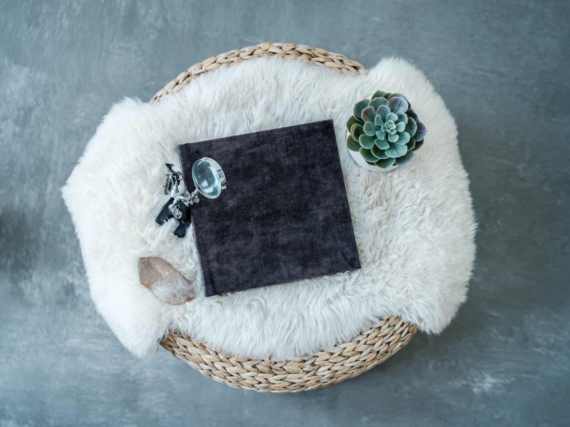 Celebration + Pre Payments by Silk + Salt Photography