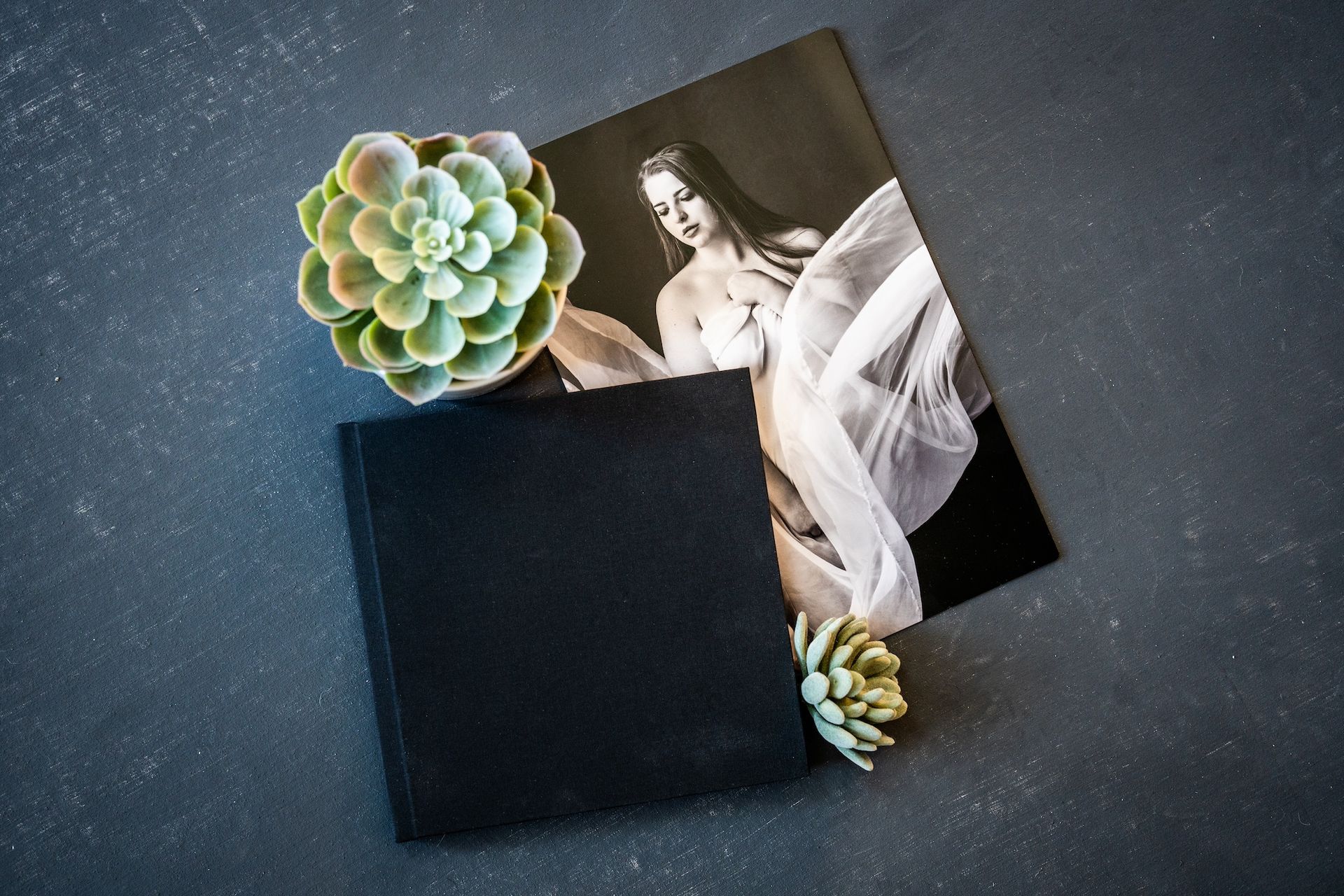  A black photo book rests beside a succulent plant, set against a dark background, creating a serene and elegant composition.