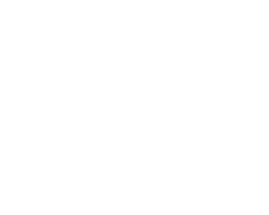 Silk + Salt Logo