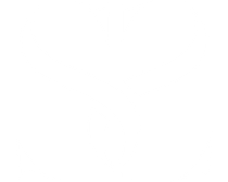 Silk _ Salt Logo