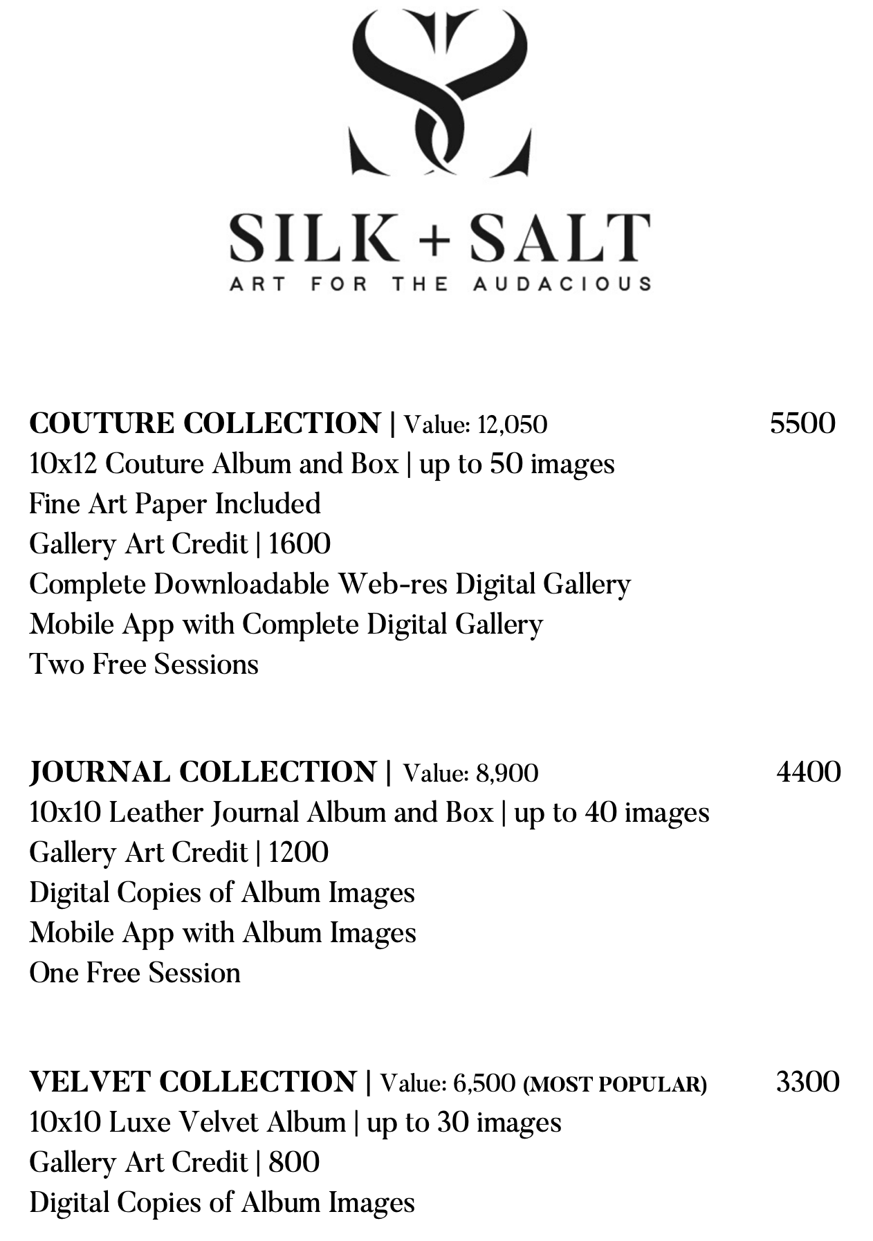 Sil + Salt Art for the Audacious Payment Guide