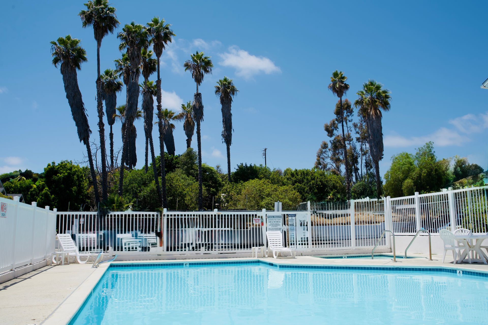 A large swimming pool with palm trees in the background