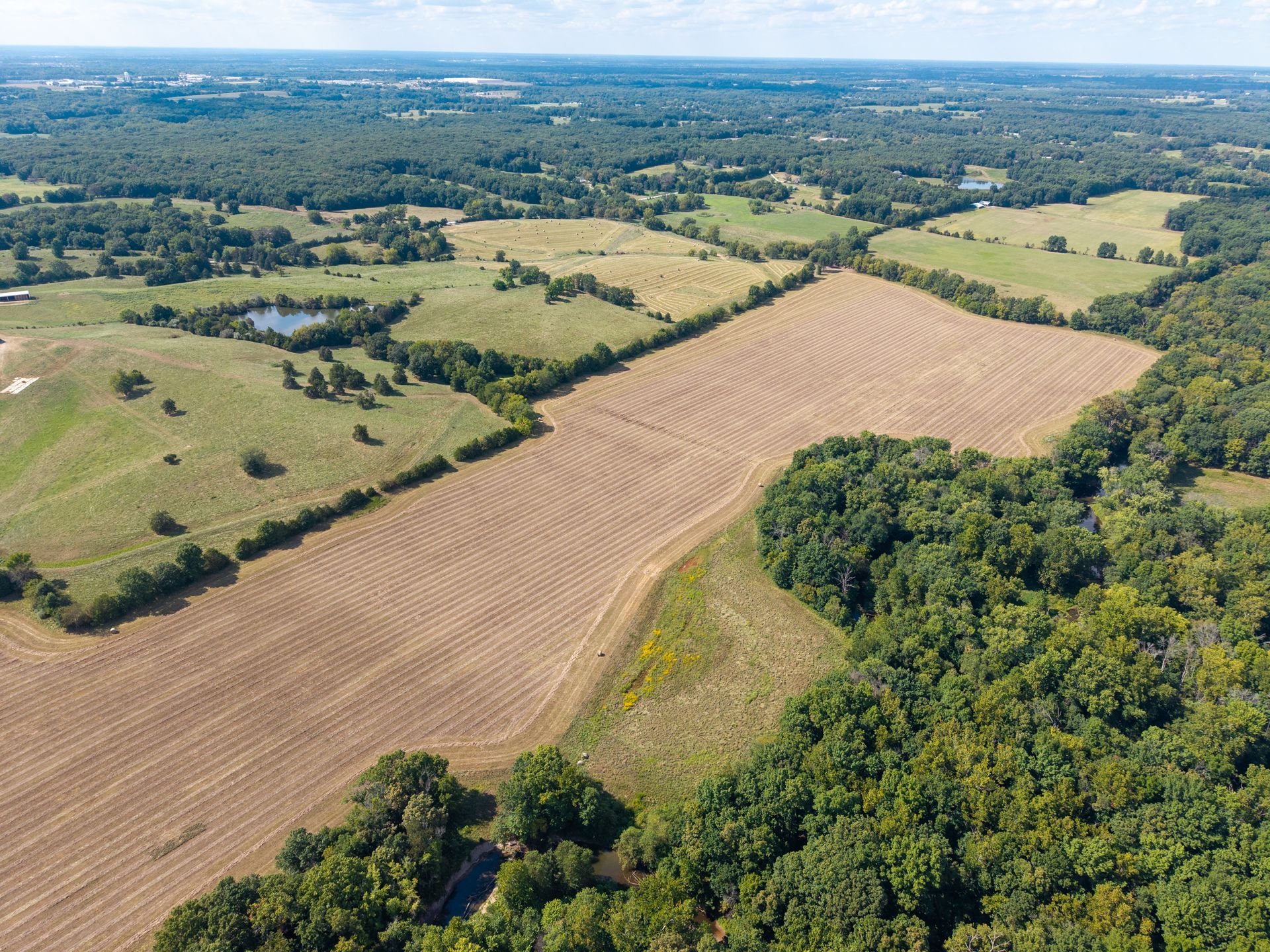 Atterberry Auction & Realty Company Can Help You With Agricultural Estate Planning in Columbia, MO.