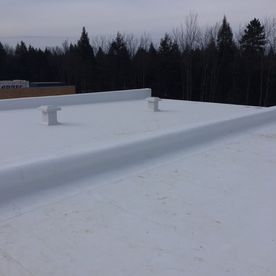 Toit plat blanc avec deux aérations et un fond de forêt sombre.