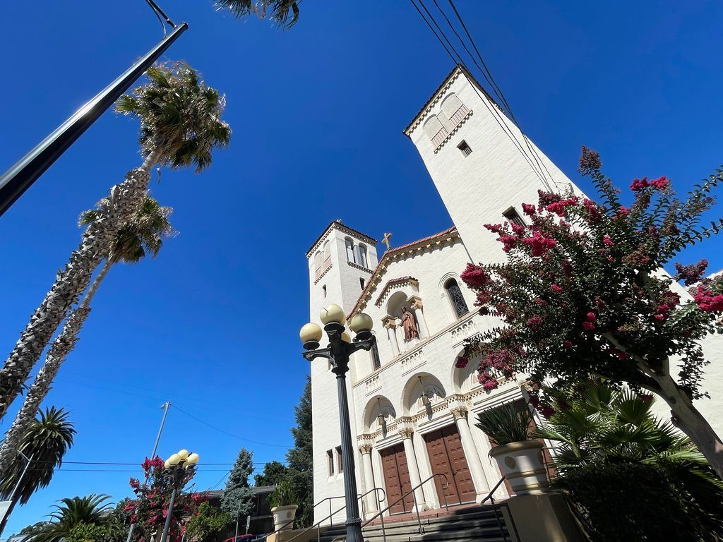 bukuflex athlete package promo