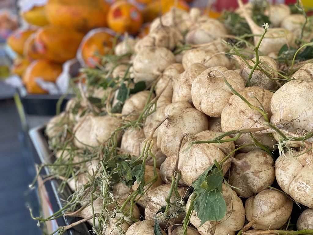 arteagas calle willow