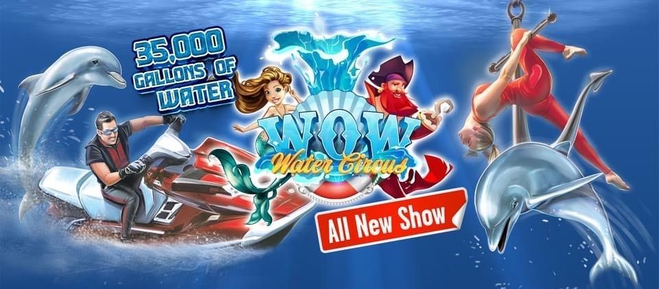 A poster for a show called wow water shows