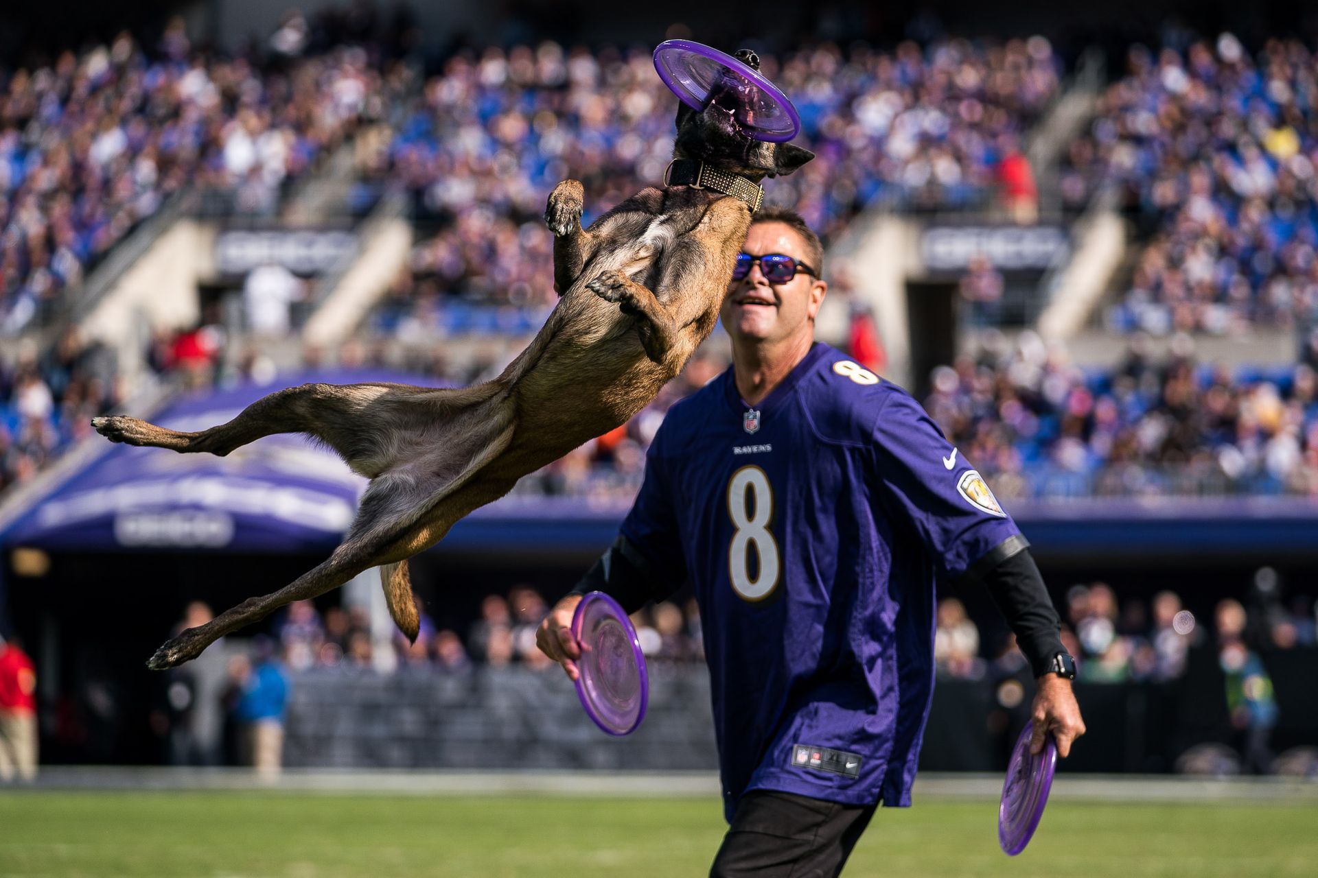 A man is playing frisbee with a dog on a football field.