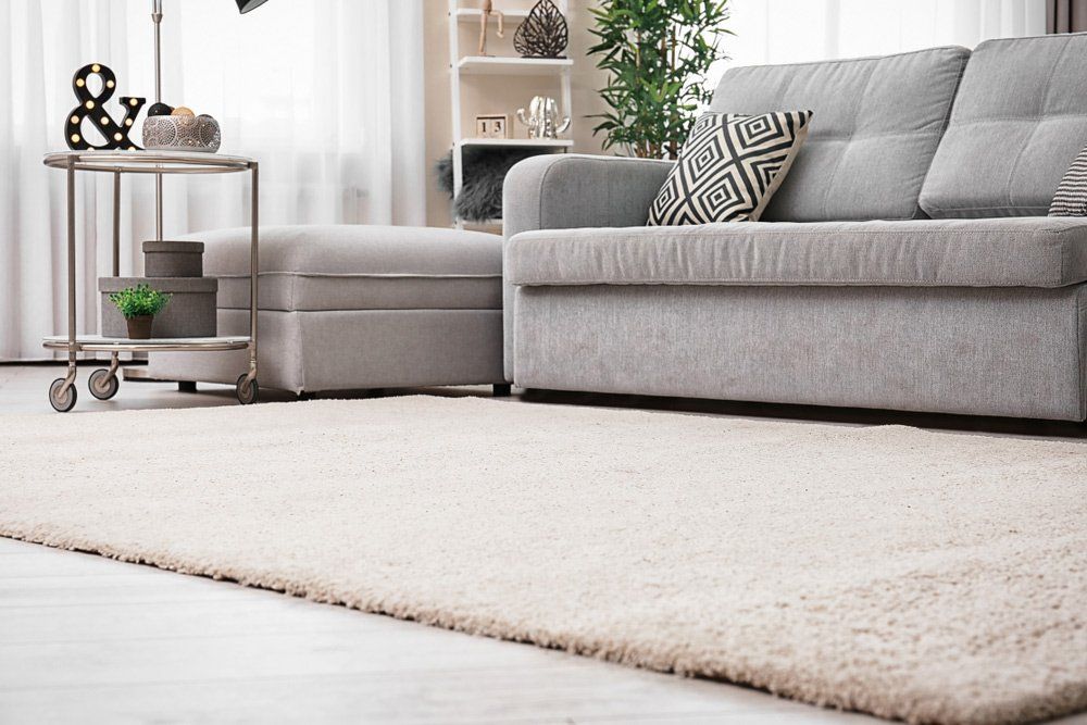 Modern Living Room With Carpet — Flooring in Frederickton, NSW