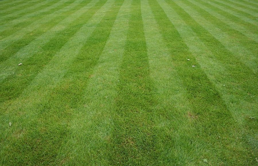 Green lawn with alternating light and dark stripes.
