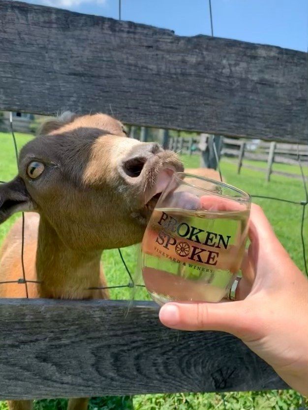 A room with a lot of wooden crates and bottles of wine on a table.
