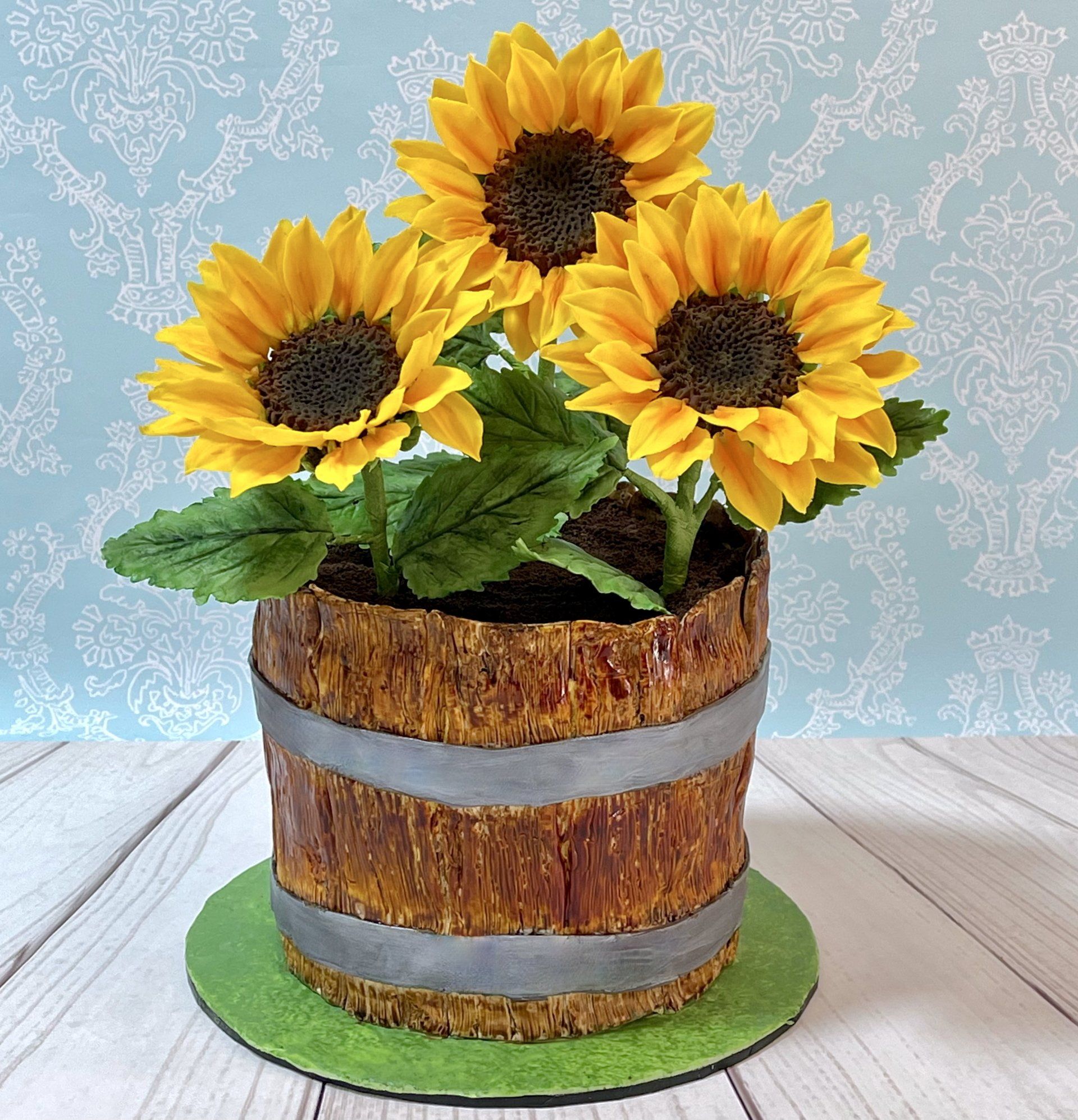 21st Birthday Cake.  Covered in Fondant that looks like an old fashion wooden pot plant. And Filled Edible chocolate soil and three big hand made Sugar Sunflowers and leaves.