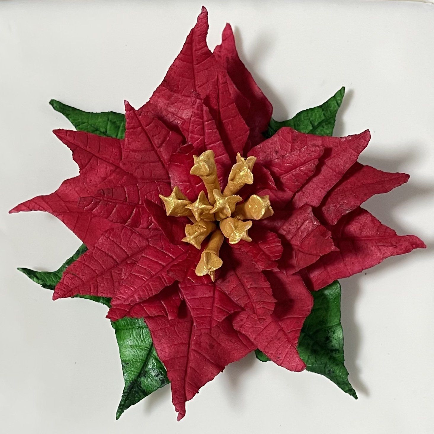 Sugar Poinsettia