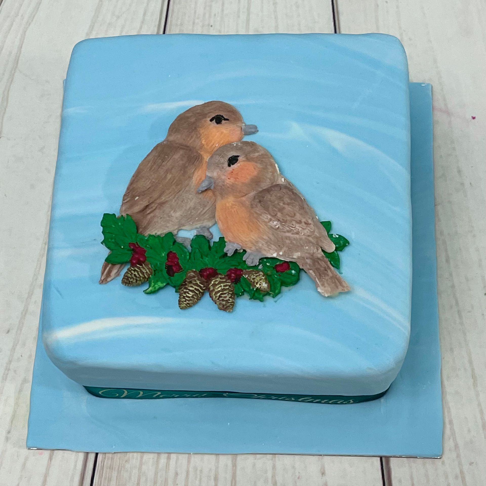 Christmas cake with cute Robins, pine cones and holly.