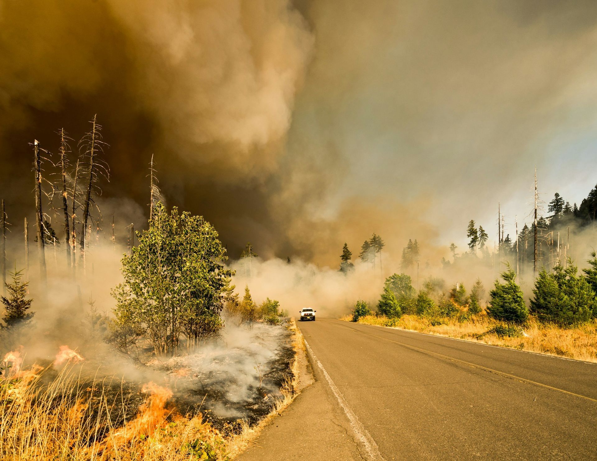 Road through wildfire, car driving away, smoky air, burning trees, dry vegetation.