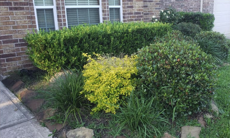 before and after image slider of landscaping services in conroe tx