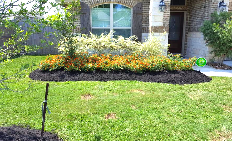 landscape designer in conroe, tx