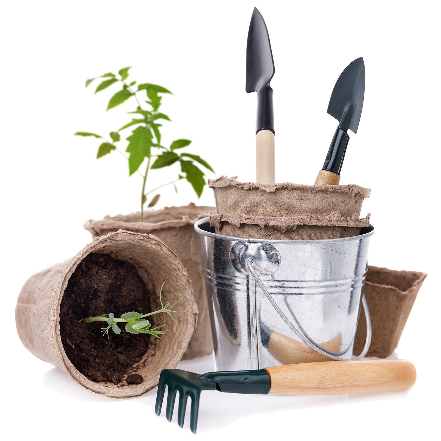 png with transparent background, gardening tools like shovels and baby plants in brown biodegradable containers