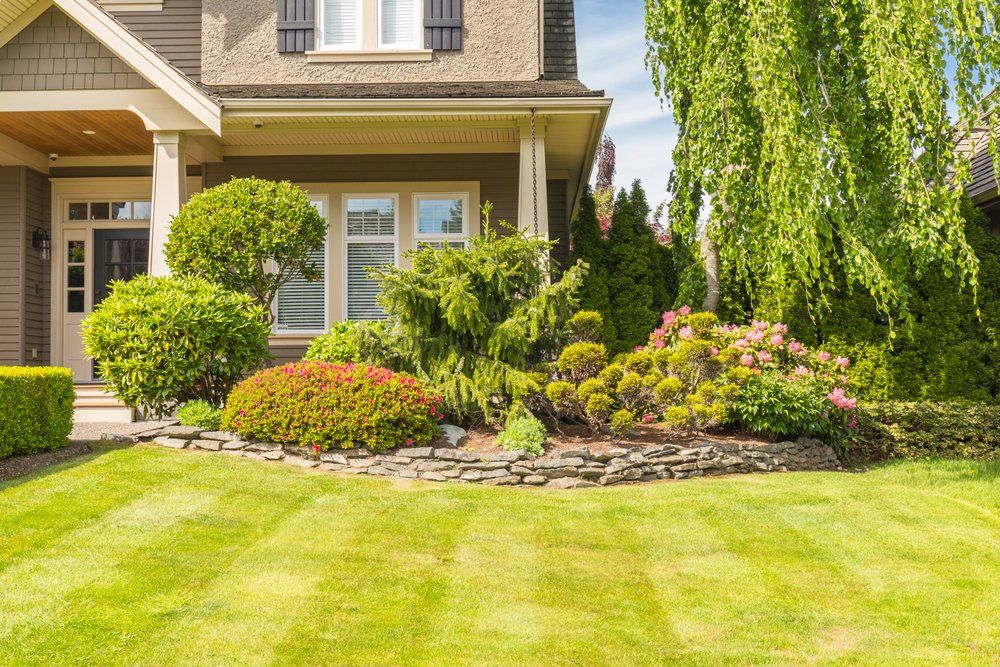 front yard of home that is very nicely landscaped with a beautiful green lawn