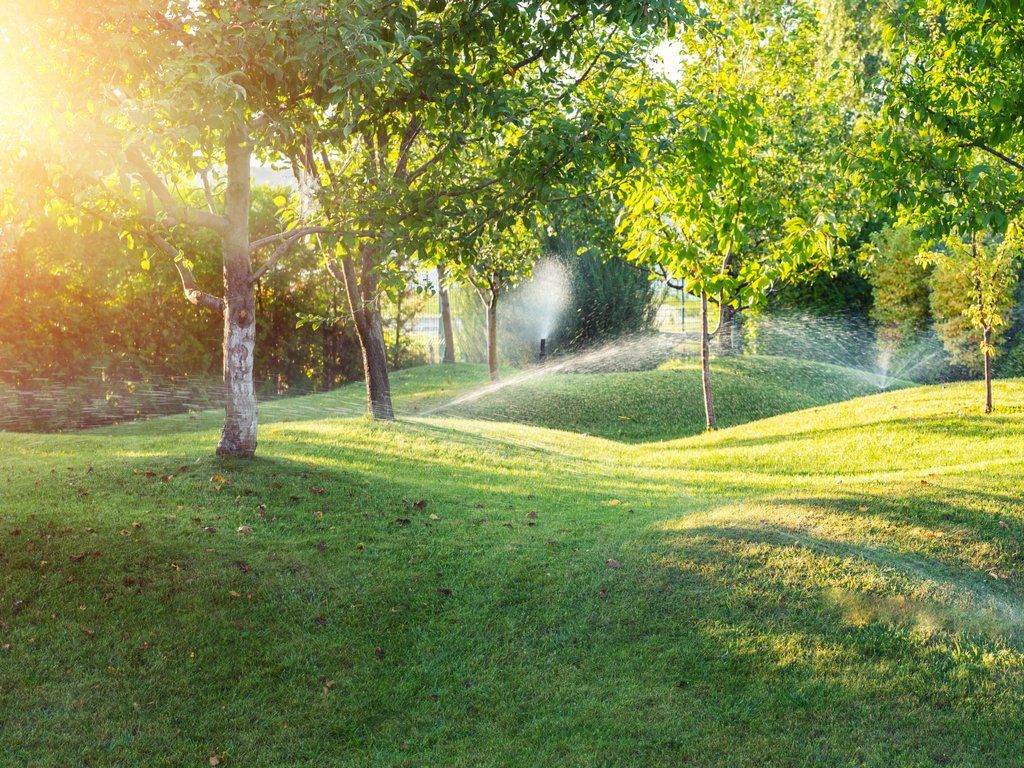 lawn with sprinklers and good drainage