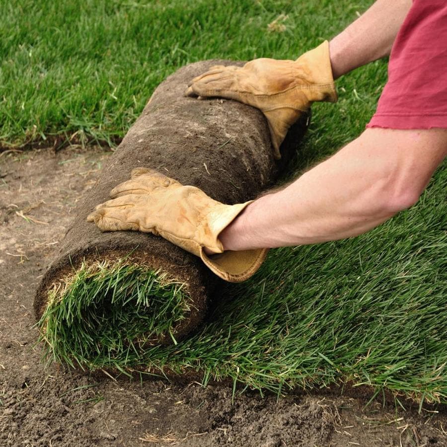 sod installation in conroe, tx