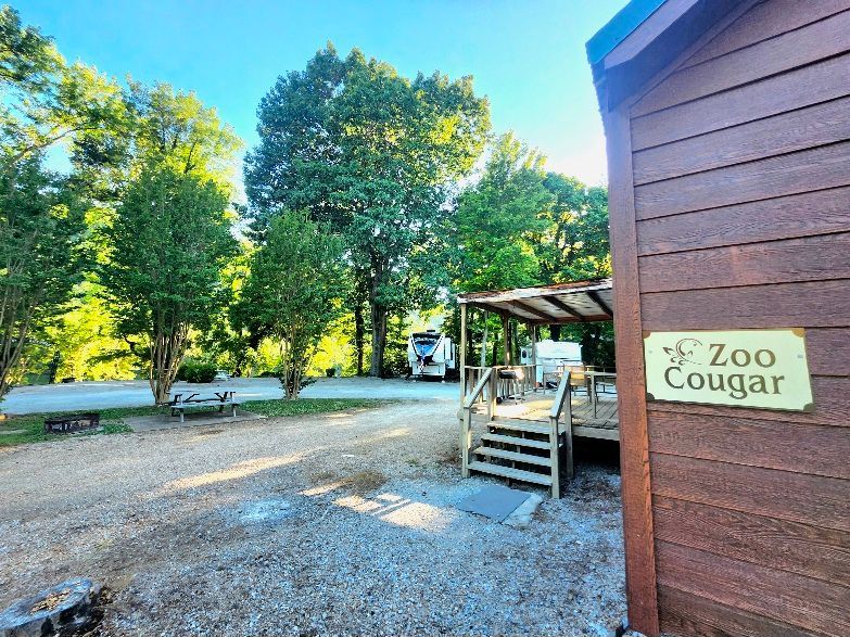 Zoo Cougar cabin at copper johns resort