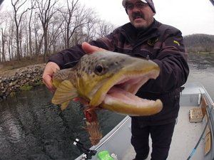 A man is holding a large fish in his hands