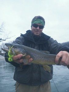 A man is holding a brown trout in his hands.