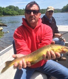 A man in a red hoodie is holding a brown trout in his hands while sitting on a boat.
