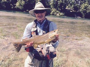 A man in a hat is holding a brown trout in his hands
