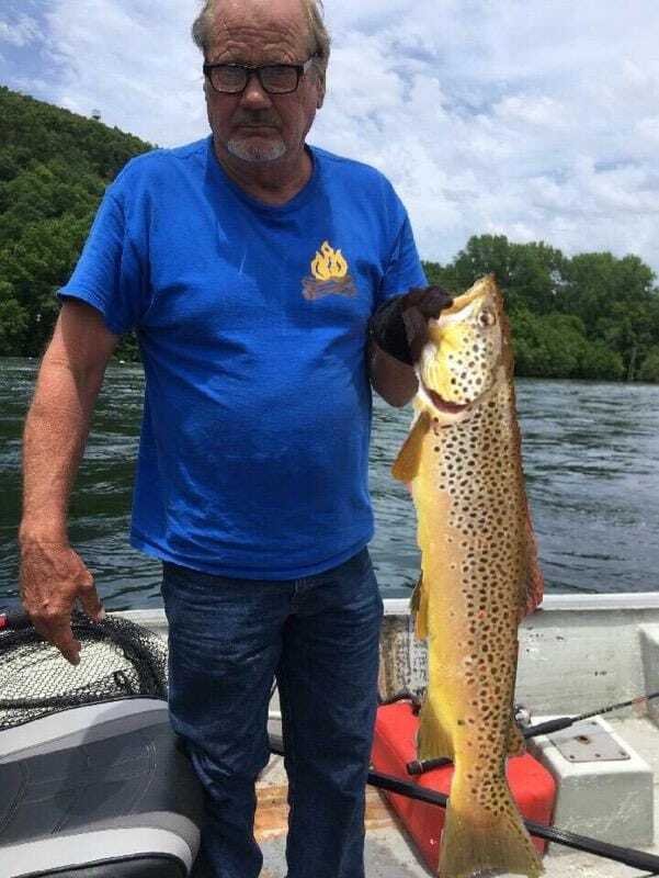 A man in a blue shirt is holding a large fish on a boat.