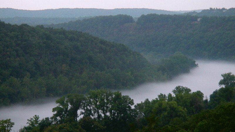 A river surrounded by trees on a foggy day