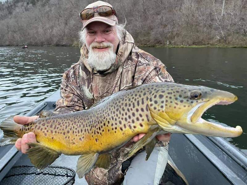 A man in a boat is holding a large brown trout