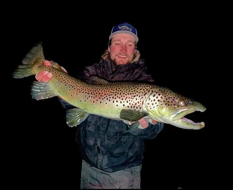 A man is holding a large brown trout in his hands.
