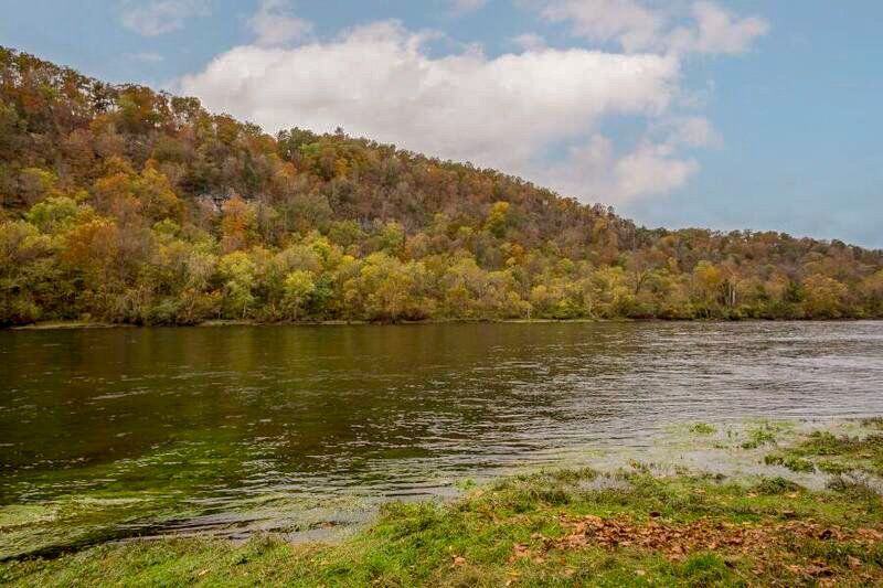A large body of water surrounded by trees on a hillside.