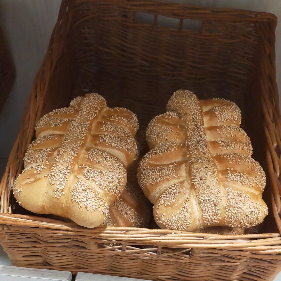 nuovo miro pane di grano duro